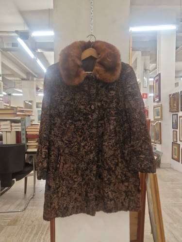 Pelliccia persiano marrone - persiano,